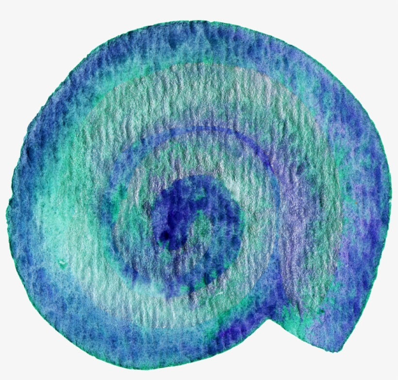 Pintado A Mano De Caracol Png Transparente - Color, transparent png