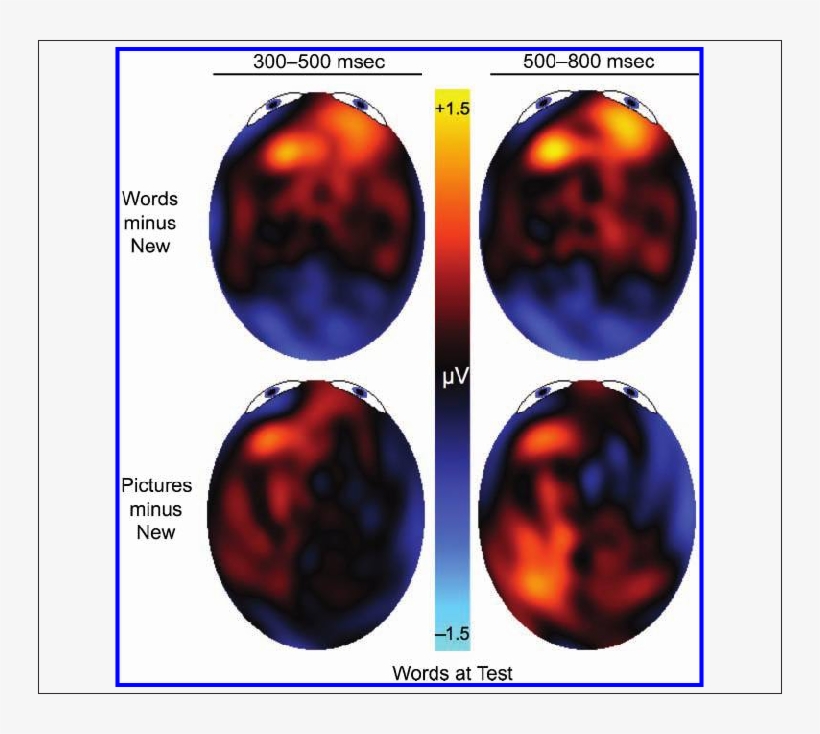 Topographic Maps Of Old/new Differences From Experiment - Topographic Map, transparent png