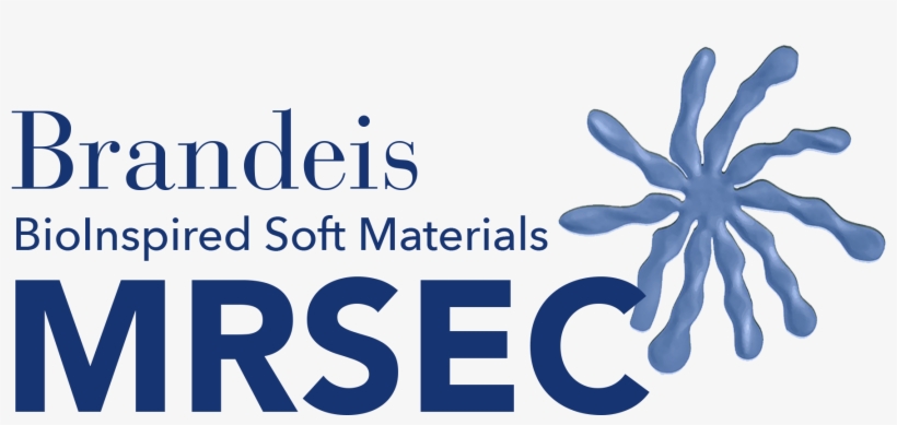 On Your Posters, Please Include The - Brandeis Mrsec, transparent png