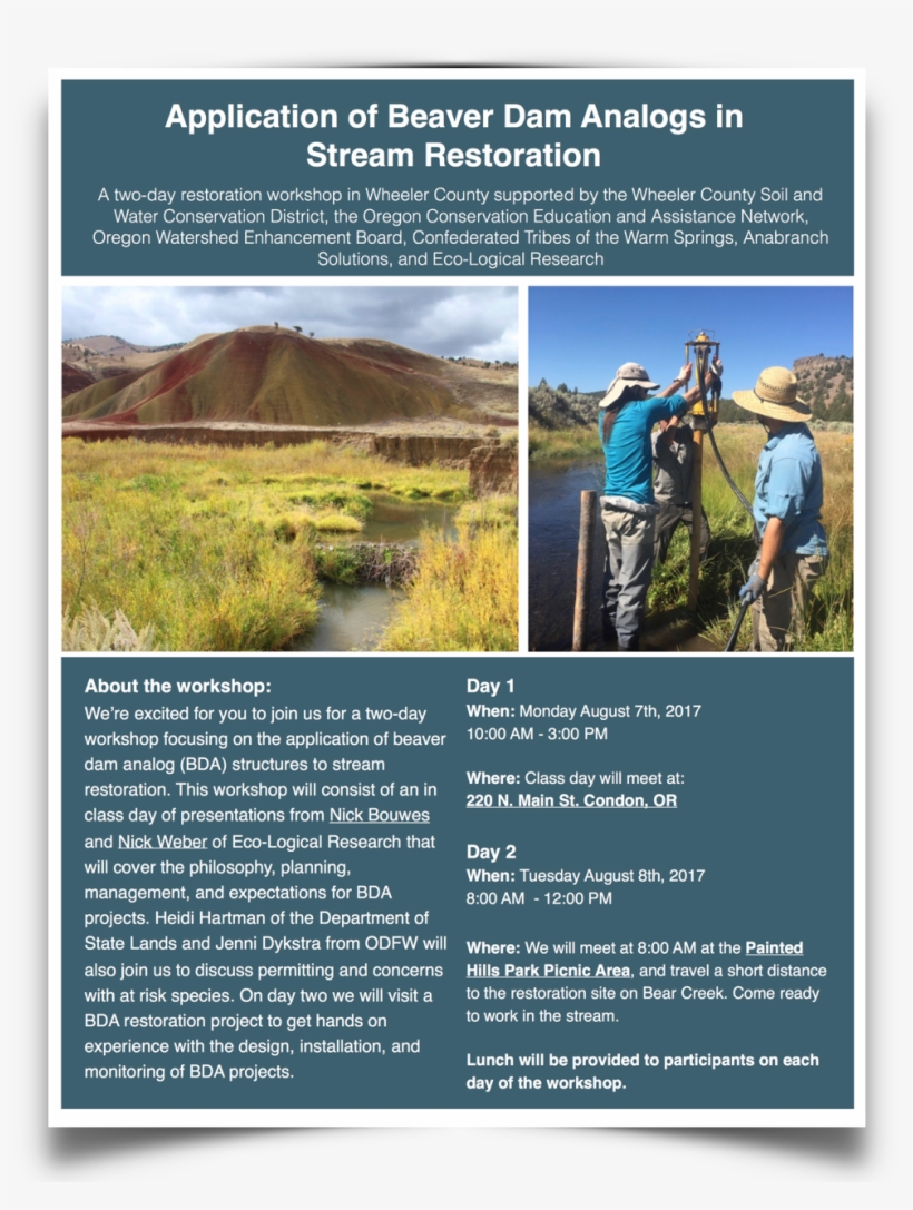 Beaver Dam Analog Workshop - Brochure, transparent png