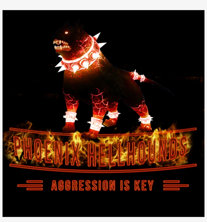 Phoenix Hellhounds Has Now Joined The Gaming Insomniacs - Night, transparent png