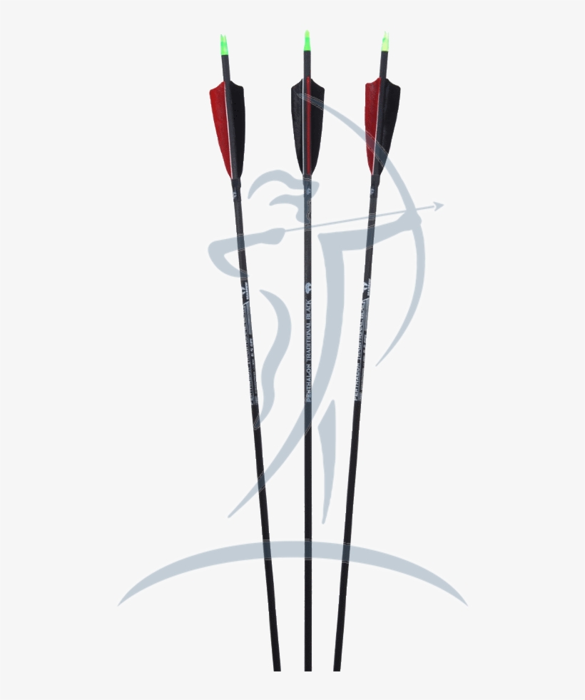 Penthalon Traditional Black Carbon Arrow With Feathers Speaker Wire