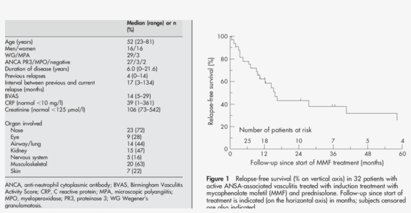 Characteristics At The Moment Of Start Of Mycophenolate - Diagram, transparent png