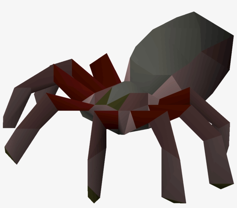 Spider - Wiki, transparent png
