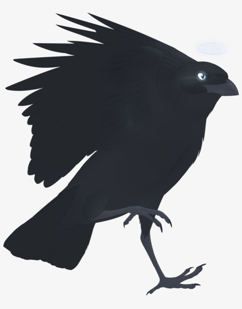 Graphic Freeuse Stock Birb Drawing Crow - March 23, transparent png