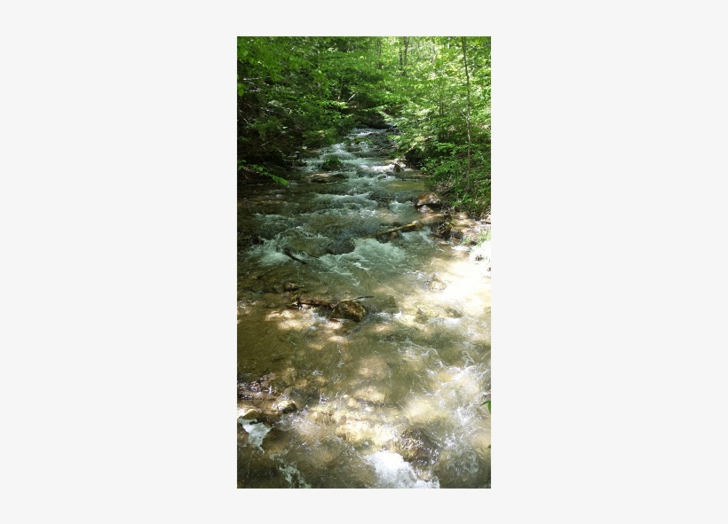 Water Rushes Along Creek Bed On The Falling Water Trail - Beaver Valley Ski Club, transparent png