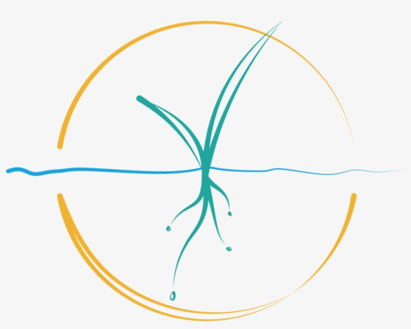 Healing Sessions Can Be Offered Online (skype / Facetime - Circle, transparent png