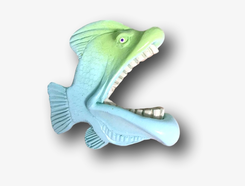 King George Fish With Attitude By Mike Quinn - American Crocodile, transparent png