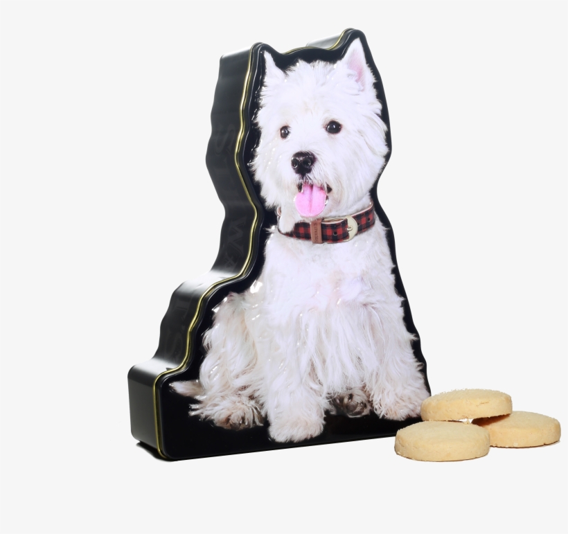 Westie Shortbread Tin - Shortbread, transparent png