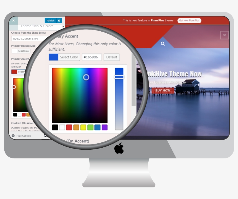 Unlimited Colors - Wordpress, transparent png