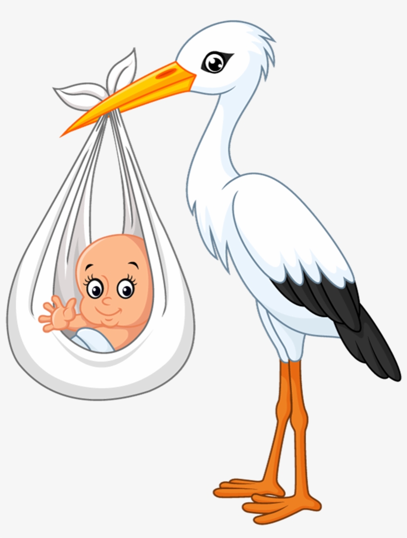 Imagens Png De Cegonhas, transparent png