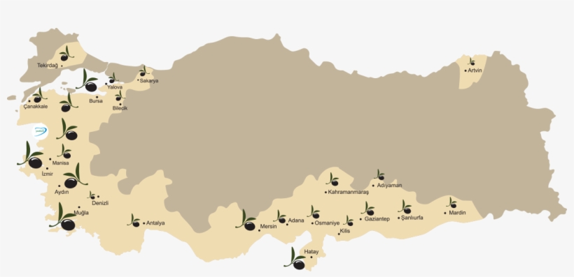 Turkey Olive Map - Kurden In Der Türkei, transparent png
