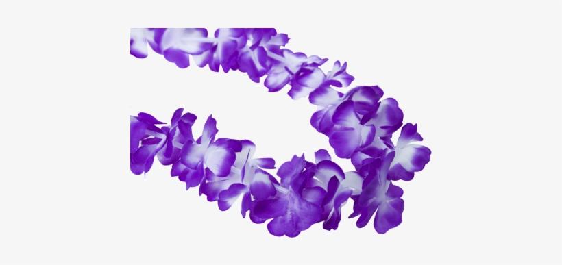 Hawaiian Lei Garland Purple - Hawaii, transparent png