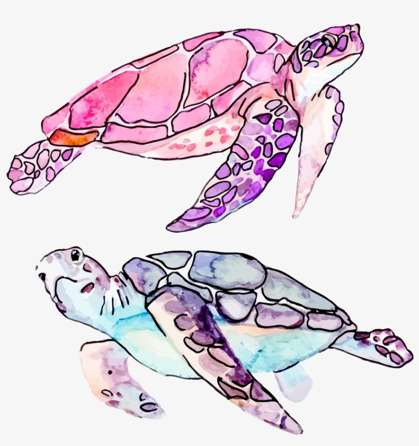Clip Art Sea Cartoon Illustration Transprent Png Free - Watercolor Sea Turtle Clipart, transparent png