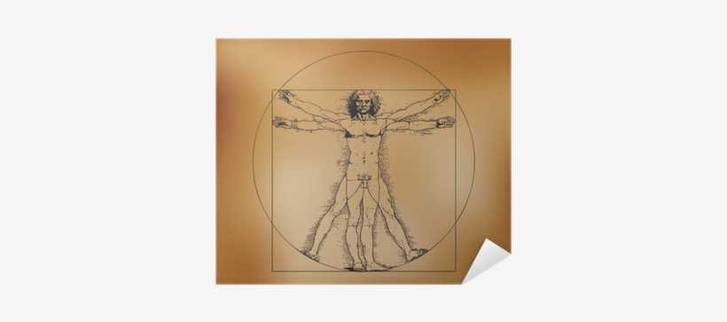 Vitruvian Man With Crosshatching - Analyze People On Sight [book], transparent png