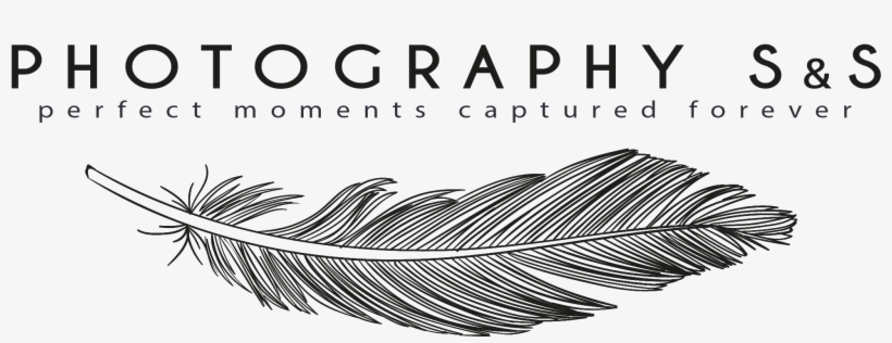 Destination Wedding Photographer S - Password Logbook: A Premium Journal An Internet Address, transparent png