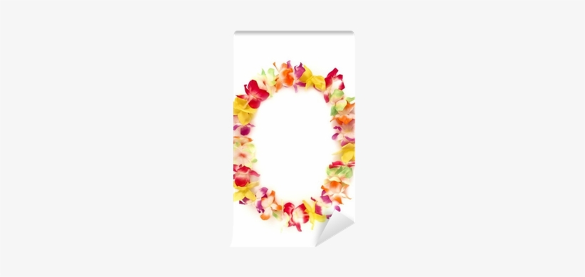 Picture Frame, transparent png