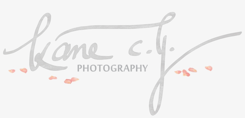 Cy Photography Kane - Photography, transparent png