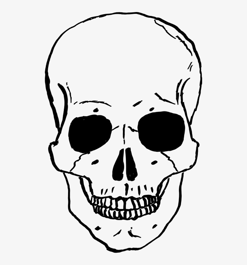 Free Stock Photo - Skull Clipart, transparent png
