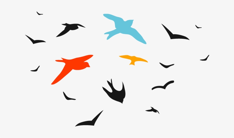 Birds Vector Png - Transparent Bird Vector, transparent png