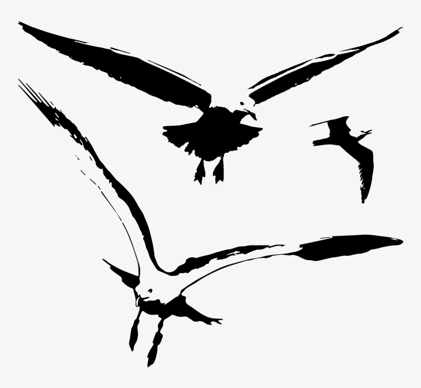 Seagull Birds Vector Silhouette - Vector Graphics, transparent png