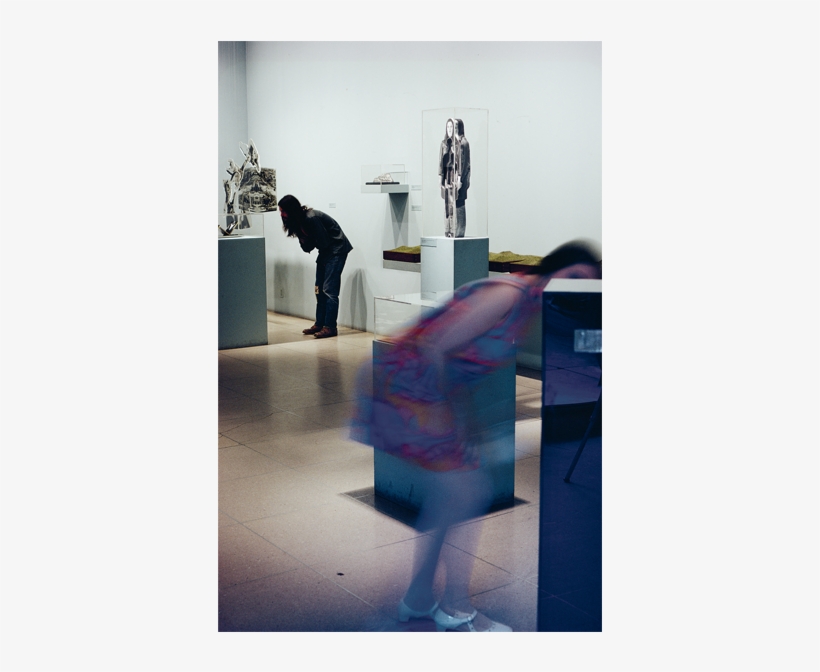 Bea Nettles Photography Into Sculpture Moma, transparent png