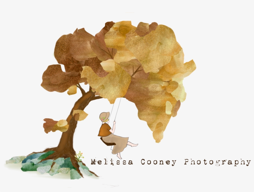 U531170559 O611417225 111 - Photography, transparent png