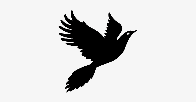Bluebird, transparent png
