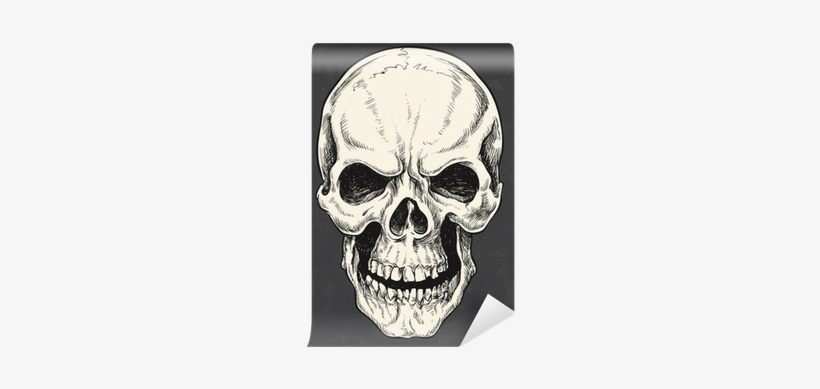 Drawn Skull Vector - Man The Myth The Legend Wilson The Man The Myth, transparent png