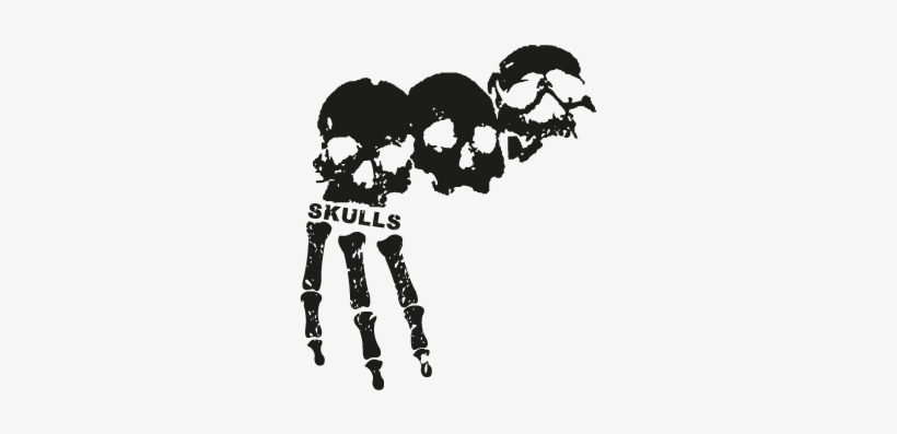 3 Skulls Vector - 3 Skulls Logo, transparent png