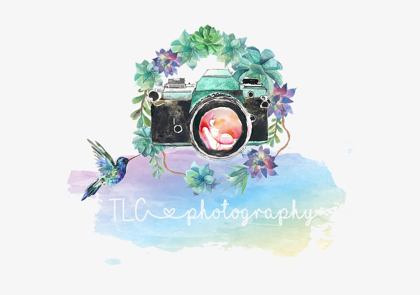 Newborn, Family, Maternity Photographer, Photo Shoot, - All Offers Are Welcome, transparent png