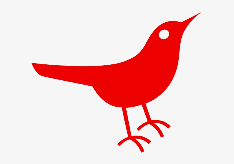 Vector Clip Art Online, Royalty Free - Scarlet Ibis Clip Art, transparent png