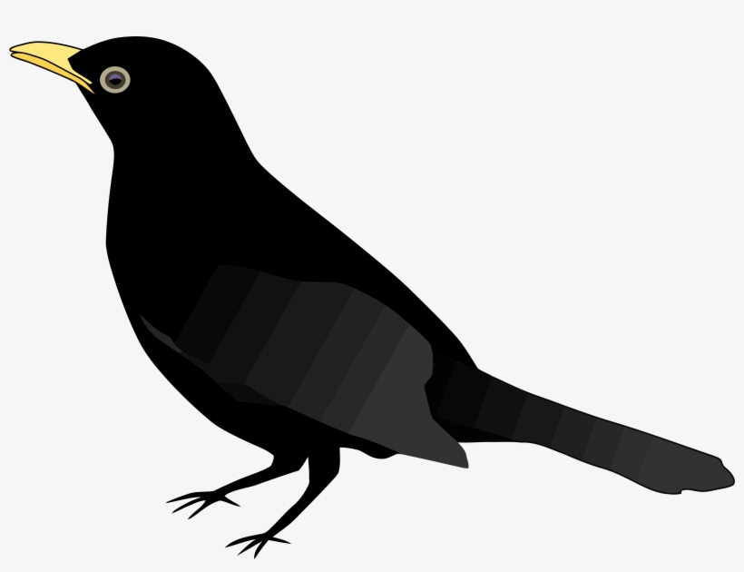 Chimney Swift Clipart, Vector Clip Art Online, Royalty - Blackbird Clipart, transparent png