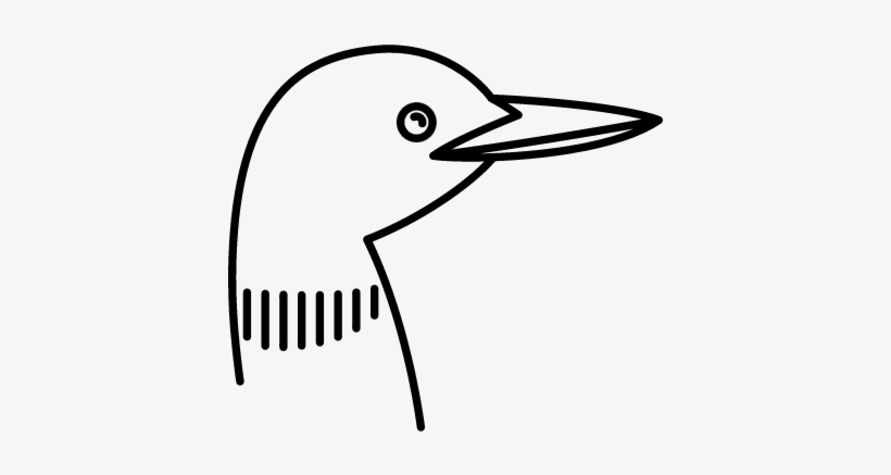 Bird Vector - Bird, transparent png