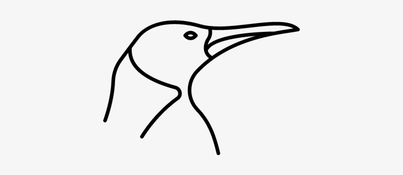 Bird Vector - Bird, transparent png