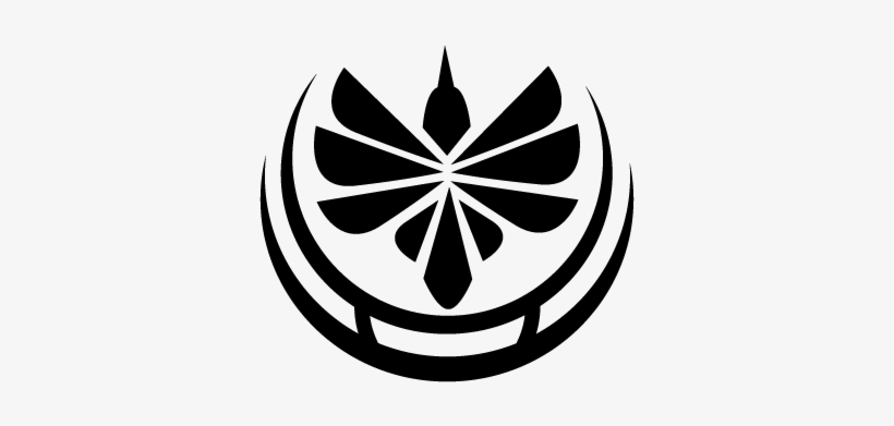 Bird, transparent png