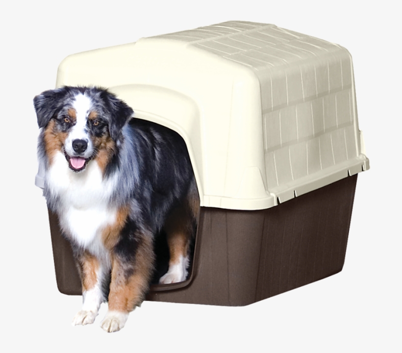 petbarn crate
