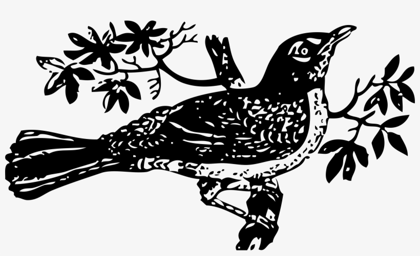 Mockingbird Png, transparent png