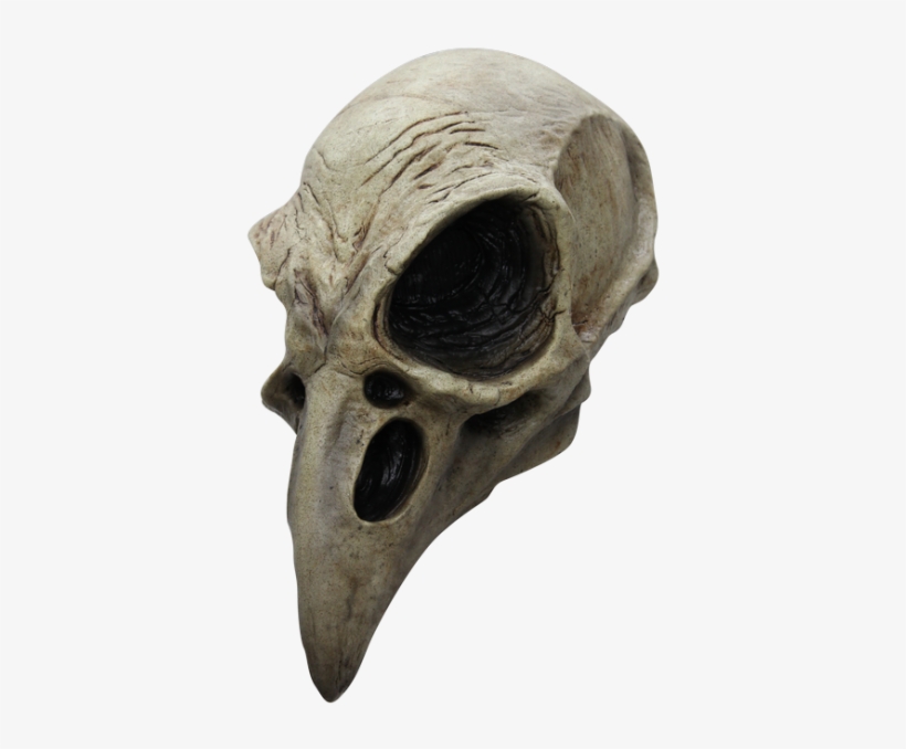 Bureaucrat Skull - Crow Skull, transparent png