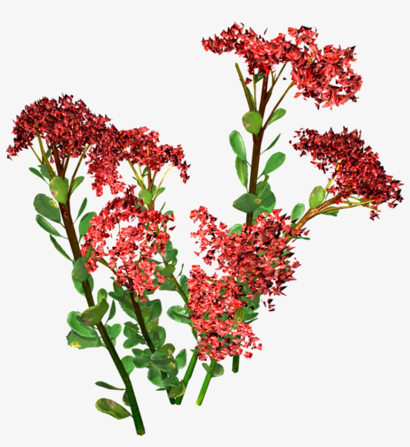 This Product Design Is Hand Painted Red Small Floral - Portable Network Graphics, transparent png