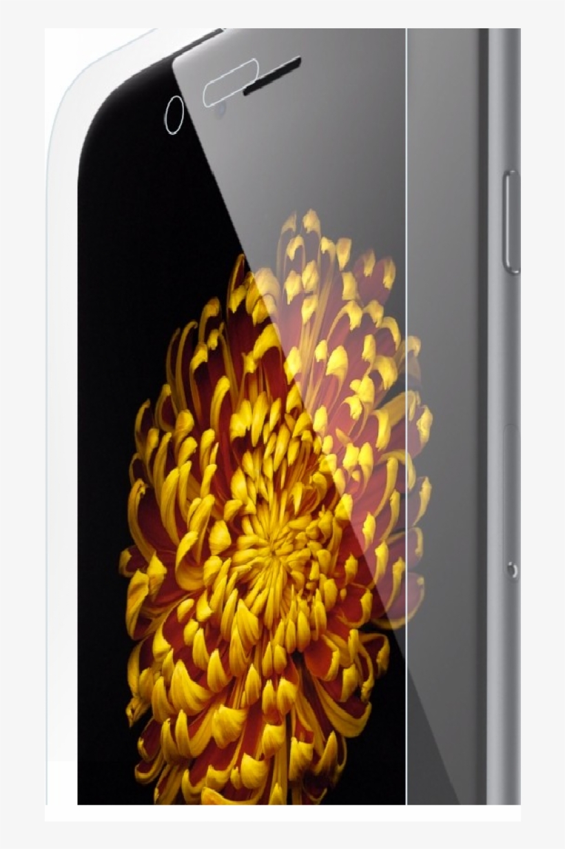 Iphone Where To Insert Sim Card, transparent png