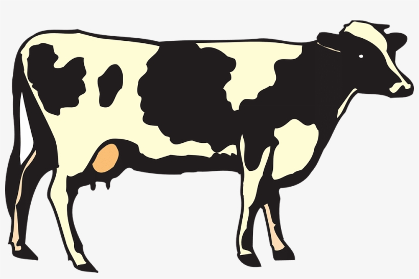 Vaca - Cow Euro Oval Bumper Sticker, transparent png