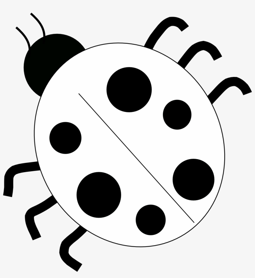 Ladybug - Drawing - Black - And - White - Black And - Ladybug Clip Art, transparent png
