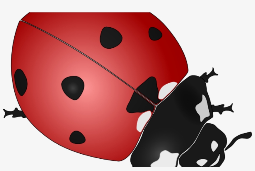 Ladybug Clip Art Free Vector / 4vector - Ladybird Black And White, transparent png