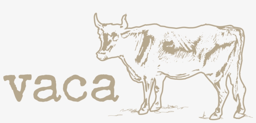 Contact - Careers - Dairy Cow, transparent png