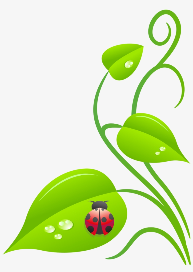 Ladybug Vine - Botanical Garden Clip Art, transparent png