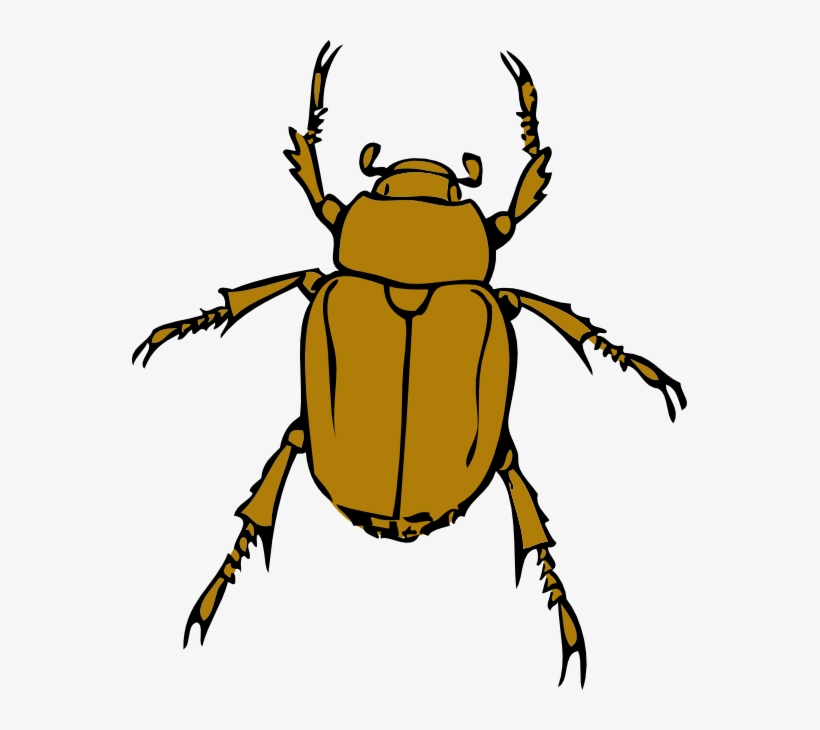 Beetle Bug Clip Art Png - Beetle Clipart, transparent png