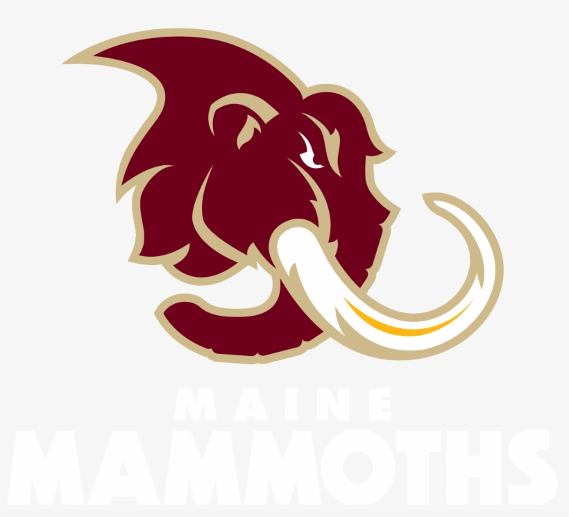 Buy - Maine Mammoths, transparent png