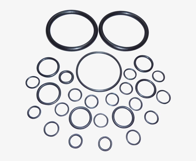 Massey Ferguson Hydraulic Pump Seal Kit (2) - Pump, transparent png
