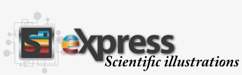 Explain Your Science Visually - Science, transparent png